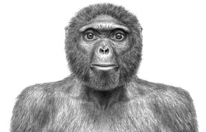 Ardipithecus ramidus