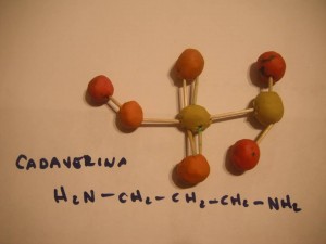 cadaverina2