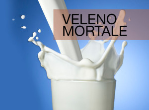 il latte vaccino fa morire